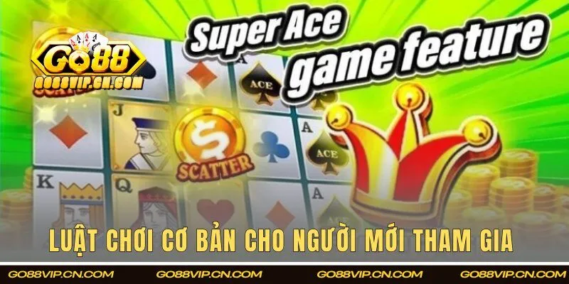 Luật chơi cơ bản cho người mới tham gia 